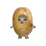 potatocat