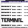 TERMIALRUINED_2090