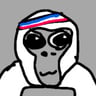 phgvr avatar